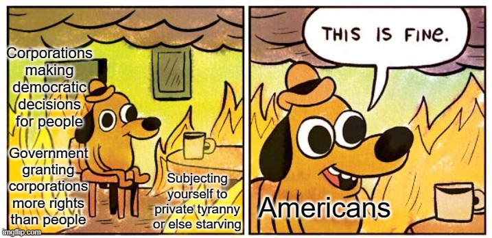 Capitalism sucks | Corporations making democratic decisions for people; Government granting corporations more rights than people; Subjecting yourself to private tyranny or else starving; Americans | image tagged in memes,this is fine,capitalism,government,corruption,libertarianism | made w/ Imgflip meme maker