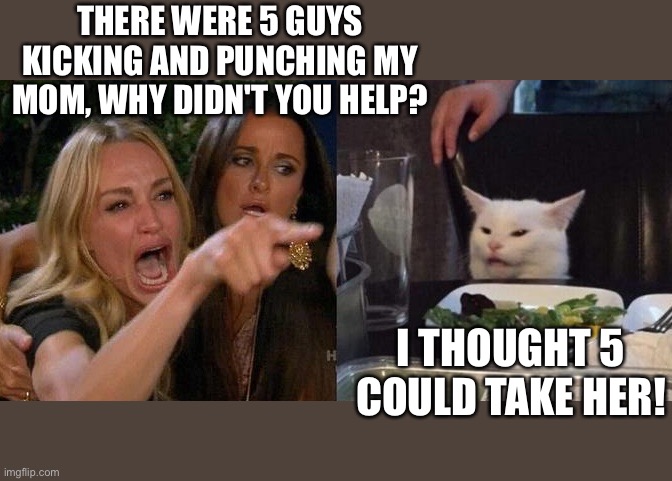 Woman yelling at cat | THERE WERE 5 GUYS KICKING AND PUNCHING MY MOM, WHY DIDN'T YOU HELP? I THOUGHT 5 COULD TAKE HER! | image tagged in woman yelling at smudge the cat | made w/ Imgflip meme maker