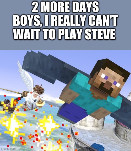 2 MORE DAYS BOYS, I REALLY CAN'T WAIT TO PLAY STEVE | image tagged in minecraft steve,minecraft,super smash bros,dlc | made w/ Imgflip meme maker