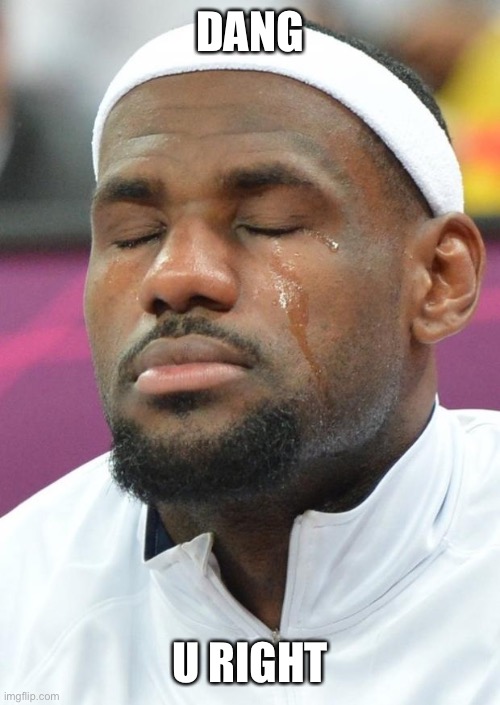 lebron james crying | DANG U RIGHT | image tagged in lebron james crying | made w/ Imgflip meme maker