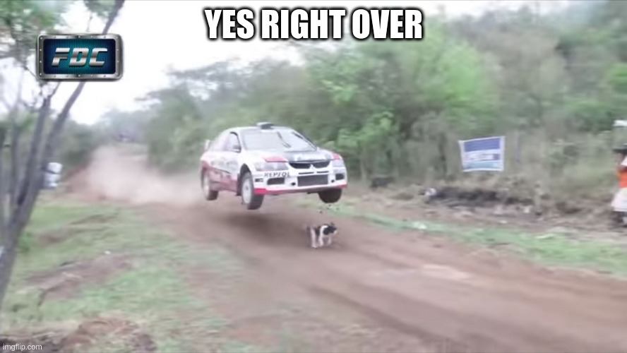 Race car fly over dog | YES RIGHT OVER | image tagged in race car fly over dog | made w/ Imgflip meme maker