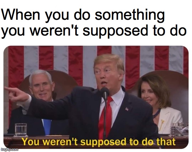 You weren't supposed to do that | When you do something you weren't supposed to do | image tagged in you weren't supposed to do that,antimeme | made w/ Imgflip meme maker