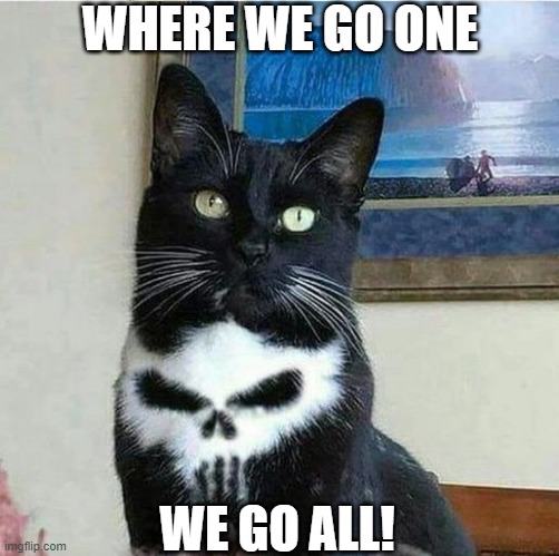 Punisher Kitty | WHERE WE GO ONE; WE GO ALL! | image tagged in kitty | made w/ Imgflip meme maker