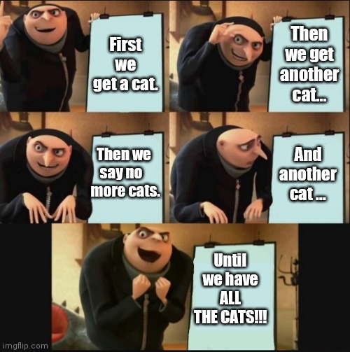 Gru's Plan 5 Panel Editon | Then we get another cat... First we get a cat. Then we say no    more cats. And another cat ... Until we have ALL THE CATS!!! | image tagged in gru's plan 5 panel editon | made w/ Imgflip meme maker