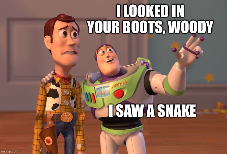 Toy Story Snakes Everywhere | I LOOKED IN YOUR BOOTS, WOODY I SAW A SNAKE | image tagged in toy story snakes everywhere | made w/ Imgflip meme maker
