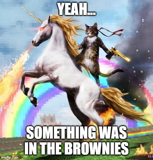 Welcome To The Internets | YEAH... SOMETHING WAS IN THE BROWNIES | image tagged in memes,welcome to the internets | made w/ Imgflip meme maker