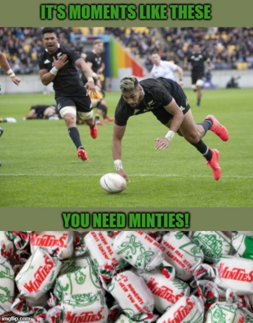 All Black No Try | image tagged in rugby,bungle | made w/ Imgflip meme maker
