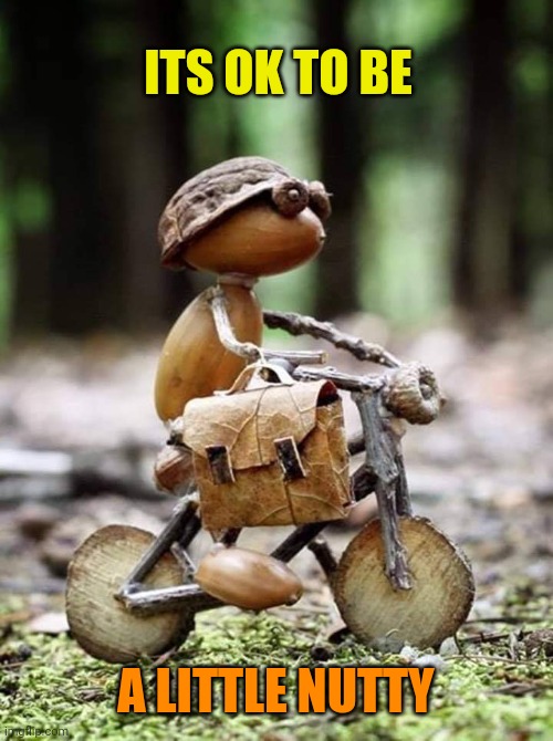 Nutty Buddy | ITS OK TO BE; A LITTLE NUTTY | image tagged in nut,art,cuteness,positivity | made w/ Imgflip meme maker