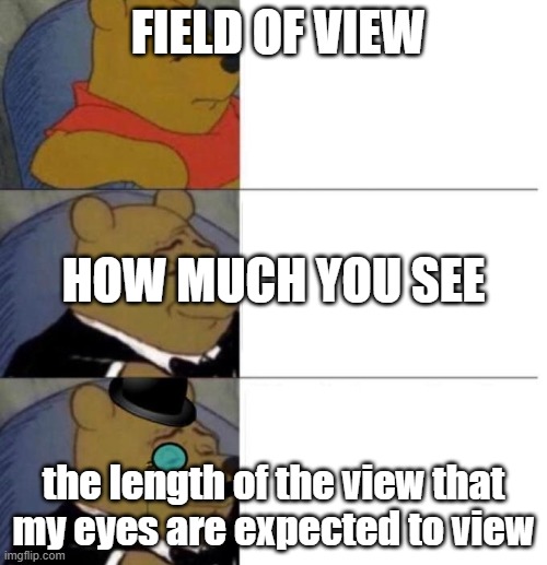 Tuxedo Winnie the Pooh (3 panel) | FIELD OF VIEW; HOW MUCH YOU SEE; the length of the view that my eyes are expected to view | image tagged in tuxedo winnie the pooh 3 panel | made w/ Imgflip meme maker