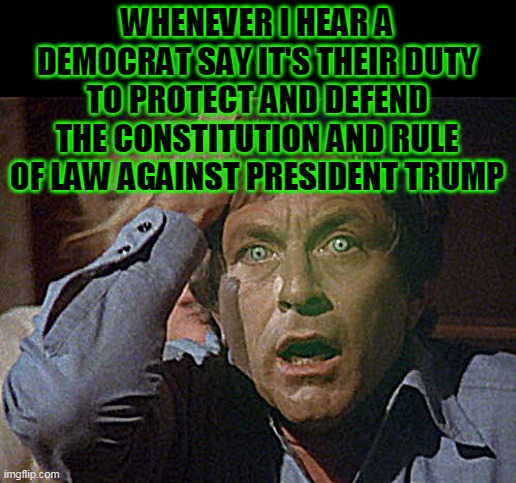 SMASH PUNY DEMOCRATS | WHENEVER I HEAR A DEMOCRAT SAY IT'S THEIR DUTY TO PROTECT AND DEFEND THE CONSTITUTION AND RULE OF LAW AGAINST PRESIDENT TRUMP | image tagged in democrats,election 2020,trump 2020,political,politics | made w/ Imgflip meme maker