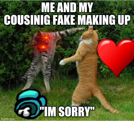 Cat Fight | ME AND MY COUSINIG FAKE MAKING UP; "IM SORRY" | image tagged in cat fight | made w/ Imgflip meme maker
