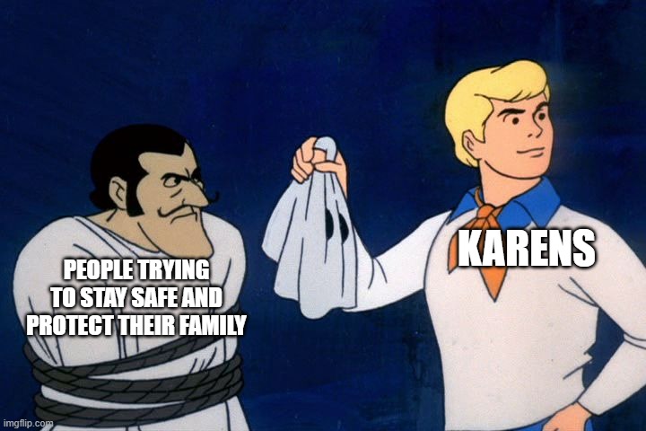 scooby doo meddling kids | KARENS PEOPLE TRYING TO STAY SAFE AND PROTECT THEIR FAMILY | image tagged in scooby doo meddling kids | made w/ Imgflip meme maker