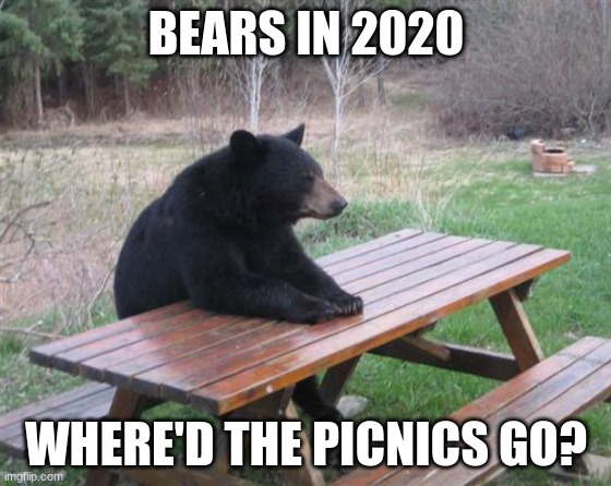 bruhhhhhhhhhhhhhhh | BEARS IN 2020; WHERE'D THE PICNICS GO? | image tagged in memes,bad luck bear | made w/ Imgflip meme maker