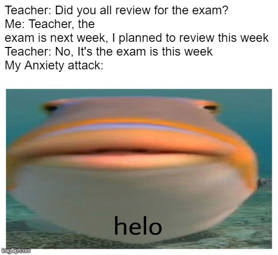 It'S CrAMmIn' TImE | Teacher: Did you all review for the exam?
Me: Teacher, the exam is next week, I planned to review this week
Teacher: No, It's the exam is this week
My Anxiety attack: | image tagged in helo fish | made w/ Imgflip meme maker