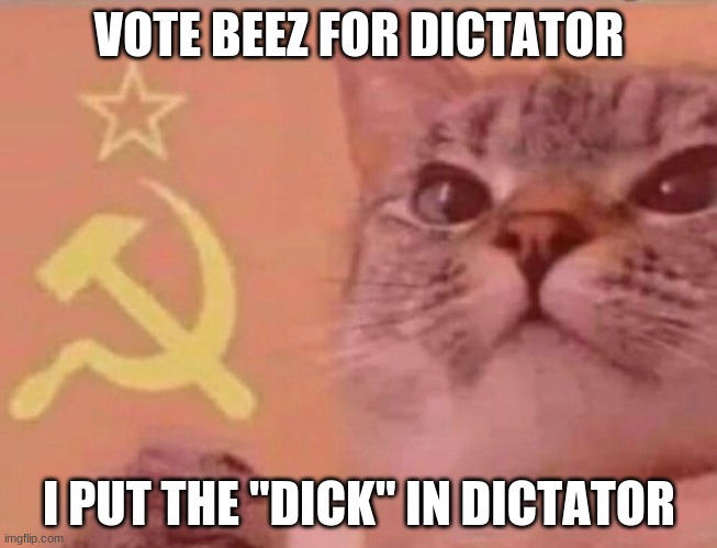 vote me | VOTE BEEZ FOR DICTATOR; I PUT THE "DICK" IN DICTATOR | image tagged in communist cat | made w/ Imgflip meme maker