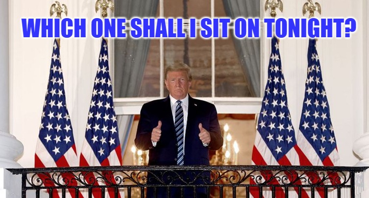 which one will i sit on tonight? | WHICH ONE SHALL I SIT ON TONIGHT? | image tagged in donald trump thumbs up | made w/ Imgflip meme maker