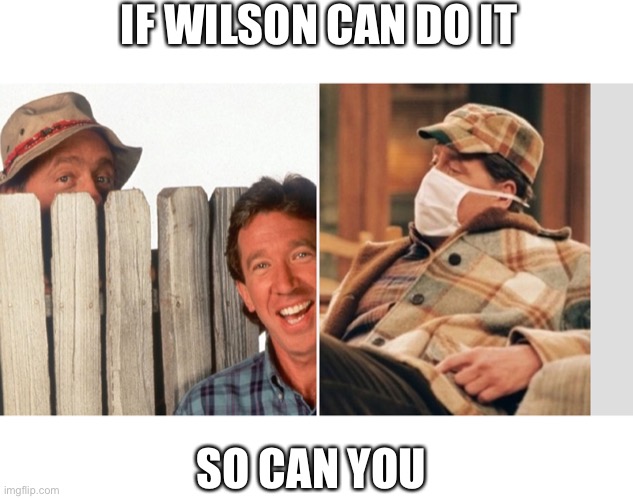 Wilson | IF WILSON CAN DO IT; SO CAN YOU | image tagged in wilson | made w/ Imgflip meme maker