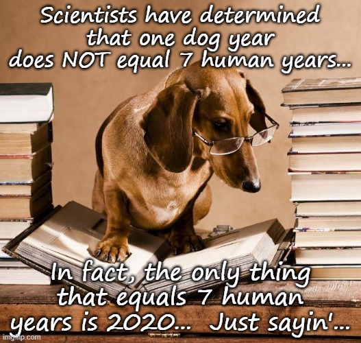 Scientific... | Scientists have determined that one dog year does NOT equal 7 human years... In fact, the only thing that equals 7 human years is 2020...  Just sayin'... | image tagged in scientists,determined,dog age,7 human years,2020 | made w/ Imgflip meme maker
