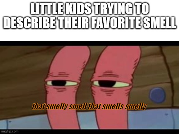 that smelly smell that smells smelly | LITTLE KIDS TRYING TO DESCRIBE THEIR FAVORITE SMELL; that smelly smell that smells smelly | made w/ Imgflip meme maker