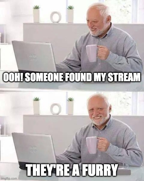 Welcome to EdgyFunni! | OOH! SOMEONE FOUND MY STREAM; THEY'RE A FURRY | image tagged in memes,hide the pain harold | made w/ Imgflip meme maker