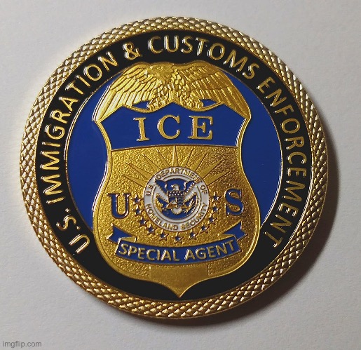 When you’re Interim Head of ICE. | image tagged in ice badge | made w/ Imgflip meme maker