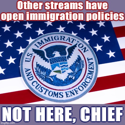 Government stream: Keeping out the riff-raff since about a week and a half ago. | Other streams have open immigration policies; NOT HERE, CHIEF | image tagged in patriotic ice banner,immigration | made w/ Imgflip meme maker