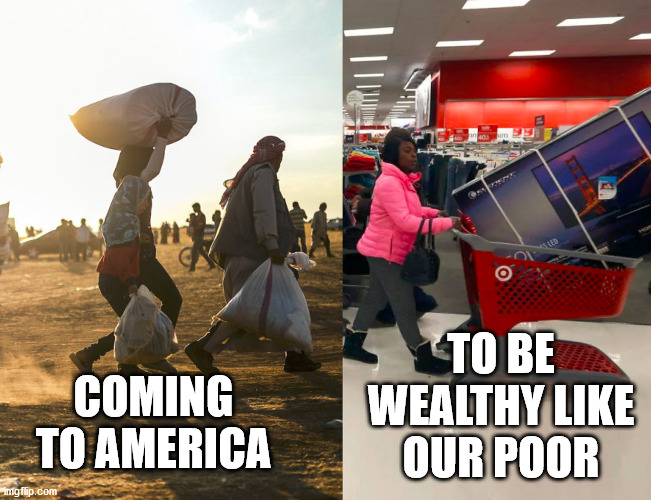 Poverty vs Wealth | COMING TO AMERICA TO BE WEALTHY LIKE OUR POOR | image tagged in poverty vs wealth | made w/ Imgflip meme maker