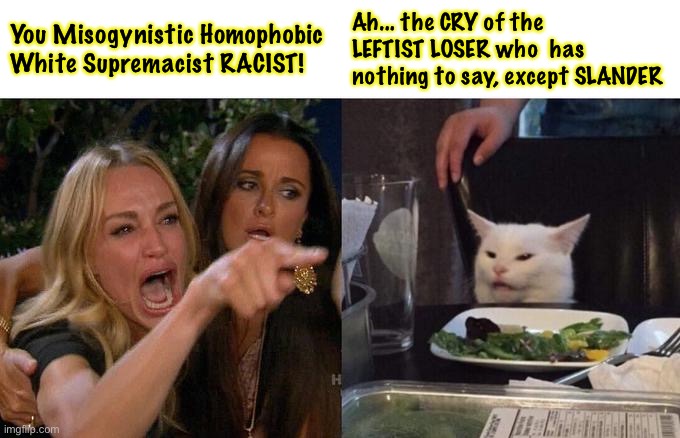 Woman Yelling At Cat Meme | You Misogynistic Homophobic 
White Supremacist RACIST! Ah... the CRY of the LEFTIST LOSER who  has 
nothing to say, except SLANDER | image tagged in memes,woman yelling at cat | made w/ Imgflip meme maker