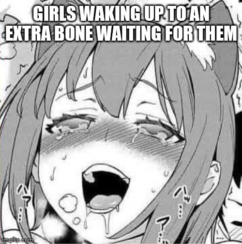 GIRLS WAKING UP TO AN EXTRA BONE WAITING FOR THEM | made w/ Imgflip meme maker