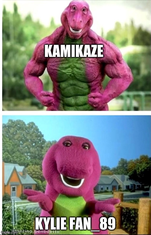 KAMIKAZE KYLIE FAN_89 | made w/ Imgflip meme maker