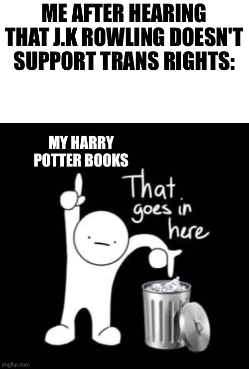 I stopped reading Harry Potter a year ago but still have to clean the unhealthy vibe away | ME AFTER HEARING THAT J.K ROWLING DOESN'T SUPPORT TRANS RIGHTS:; MY HARRY POTTER BOOKS | image tagged in that goes in here | made w/ Imgflip meme maker