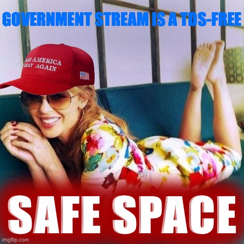 A liberal stream without the Trump hate? It can be done! | GOVERNMENT STREAM IS A TDS-FREE; SAFE SPACE | image tagged in maga kylie,government,roleplaying,politics,politics lol,trump derangement syndrome | made w/ Imgflip meme maker