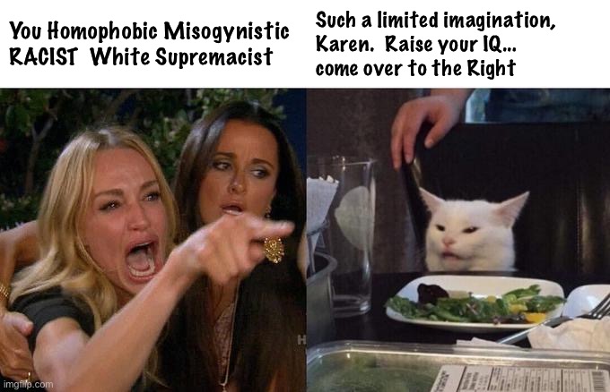 Woman Yelling At Cat | You Homophobic Misogynistic
RACIST  White Supremacist; Such a limited imagination, Karen.  Raise your IQ... 
come over to the Right | image tagged in memes,woman yelling at cat | made w/ Imgflip meme maker