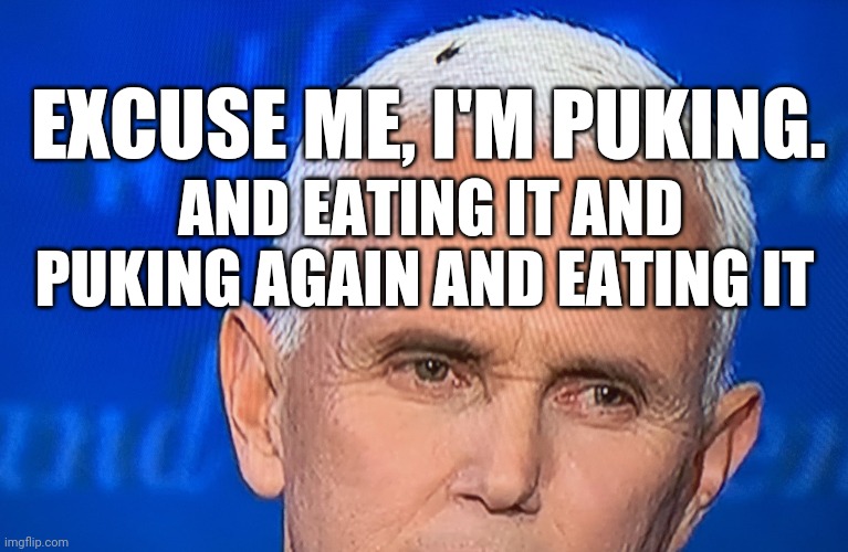 Excuse me I'm puking | EXCUSE ME, I'M PUKING. AND EATING IT AND PUKING AGAIN AND EATING IT | image tagged in pence fly,puke | made w/ Imgflip meme maker