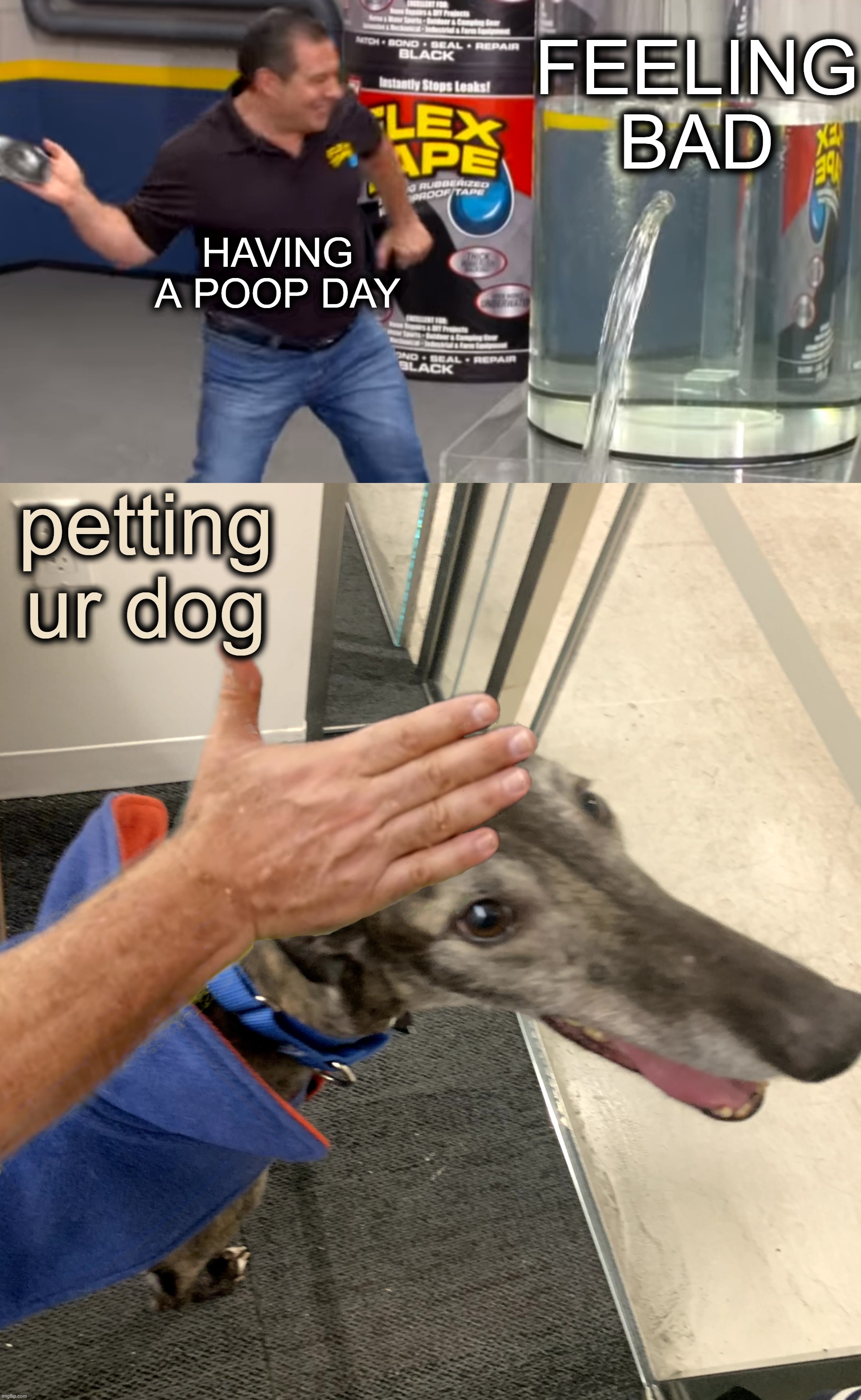 ? | FEELING BAD; HAVING A POOP DAY; petting ur dog | image tagged in dogs,pets | made w/ Imgflip meme maker