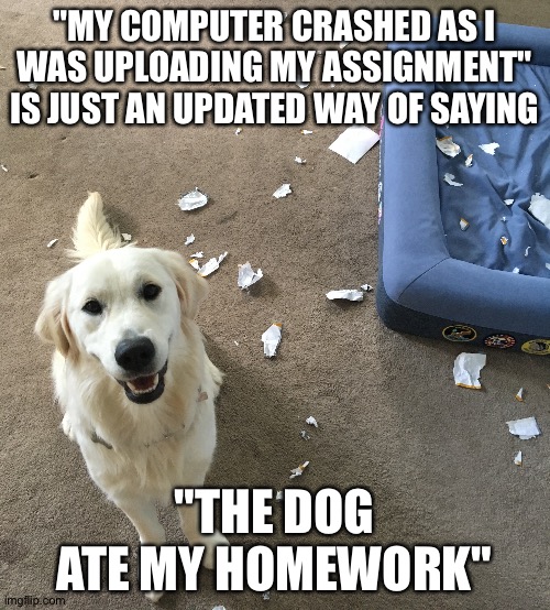 Dog ate my homework |  "MY COMPUTER CRASHED AS I WAS UPLOADING MY ASSIGNMENT" IS JUST AN UPDATED WAY OF SAYING; "THE DOG ATE MY HOMEWORK" | image tagged in dog,funny,homework | made w/ Imgflip meme maker