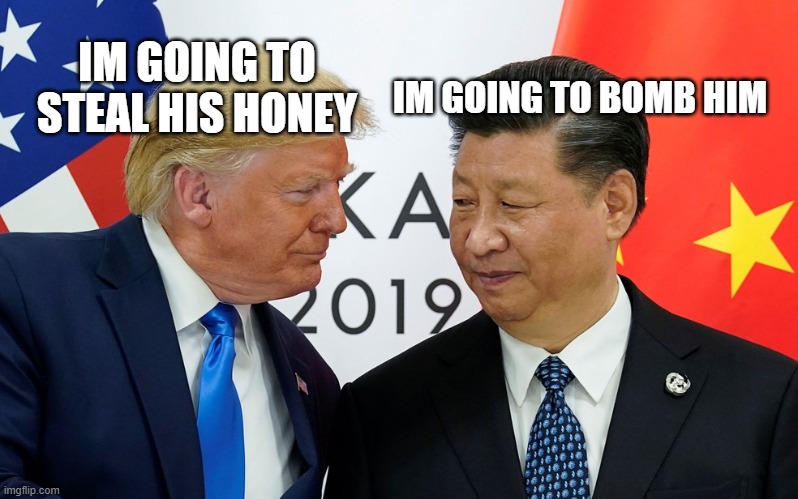 IM GOING TO STEAL HIS HONEY; IM GOING TO BOMB HIM | image tagged in politics,usa,china,honey | made w/ Imgflip meme maker