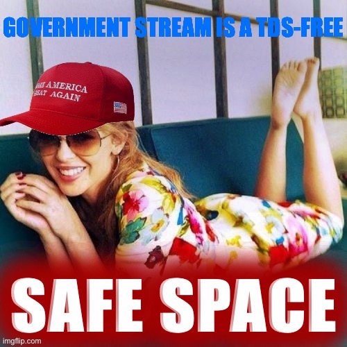 [A stream friendly to liberal discourse where we have decided to deprive Trump of the oxygen of even bad press. Join up!] | image tagged in maga kylie government stream | made w/ Imgflip meme maker