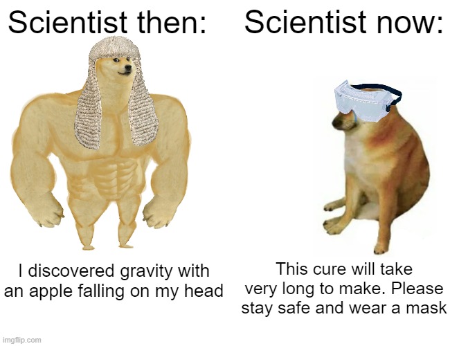 Buff Doge vs. Cheems |  Scientist then:; Scientist now:; This cure will take very long to make. Please stay safe and wear a mask; I discovered gravity with an apple falling on my head | image tagged in memes,buff doge vs cheems | made w/ Imgflip meme maker
