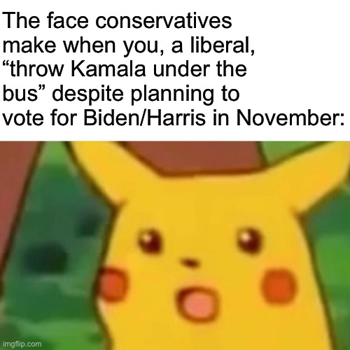 Politics isn't a zero-sum game; we can and should demand better from our own side every once in awhile. | The face conservatives make when you, a liberal, “throw Kamala under the bus” despite planning to vote for Biden/Harris in November: | image tagged in memes,surprised pikachu | made w/ Imgflip meme maker