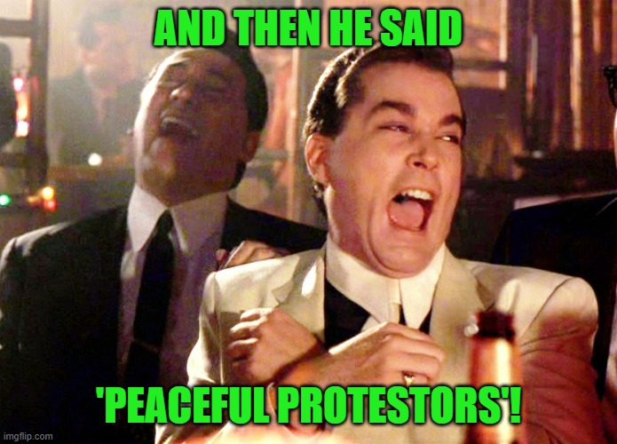 Good Fellas Hilarious Meme | AND THEN HE SAID 'PEACEFUL PROTESTORS'! | image tagged in memes,good fellas hilarious | made w/ Imgflip meme maker