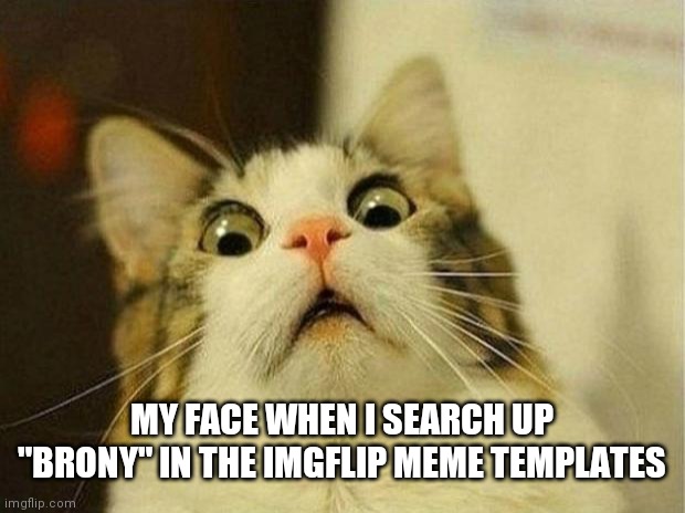 Seriously don't do it | MY FACE WHEN I SEARCH UP "BRONY" IN THE IMGFLIP MEME TEMPLATES | image tagged in memes,scared cat,please help me,why | made w/ Imgflip meme maker