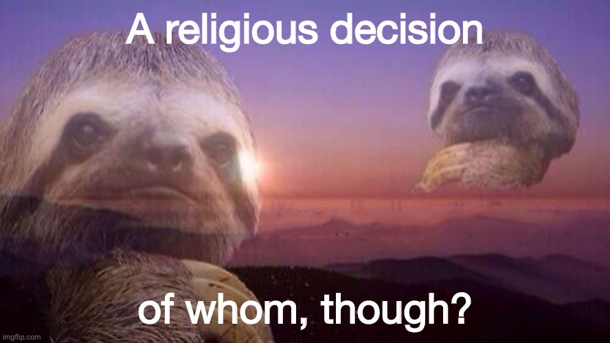 What happens if the government “just stays out of” gay marriage? A thought puzzle. | A religious decision; of whom, though? | image tagged in sloth knowledge is power without words | made w/ Imgflip meme maker
