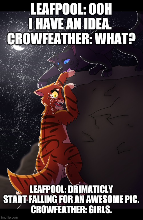 Awesome pic | LEAFPOOL: OOH I HAVE AN IDEA. 
CROWFEATHER: WHAT? LEAFPOOL: DRIMATICLY START FALLING FOR AN AWESOME PIC.
CROWFEATHER: GIRLS. | image tagged in wow | made w/ Imgflip meme maker