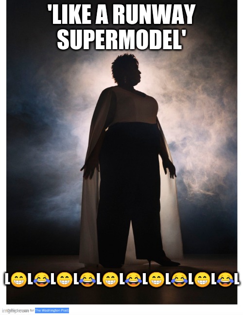 Stacey Abrams supermodel? | 'LIKE A RUNWAY SUPERMODEL'; L😁L😂L😁L😂L😁L😂L😁L😂L😁L😂L | image tagged in stacey abrams,the washington post,fake news | made w/ Imgflip meme maker