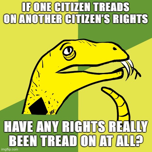 Libertarians be like | IF ONE CITIZEN TREADS ON ANOTHER CITIZEN’S RIGHTS; HAVE ANY RIGHTS REALLY BEEN TREAD ON AT ALL? | image tagged in belgian gadsden flag if why,libertarians | made w/ Imgflip meme maker