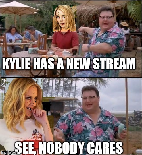 See nobody cares Kylie | KYLIE HAS A NEW STREAM SEE, NOBODY CARES | image tagged in see nobody cares kylie | made w/ Imgflip meme maker