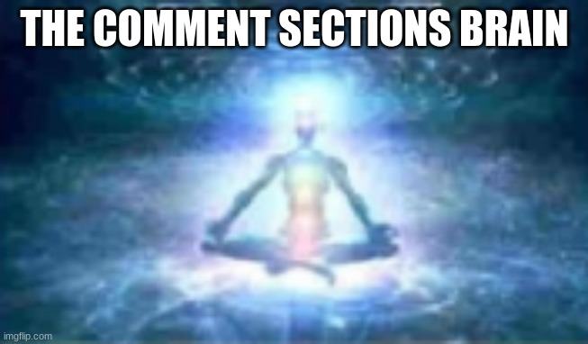 THE COMMENT SECTIONS BRAIN | made w/ Imgflip meme maker