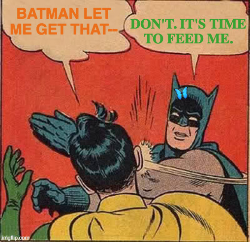 Leave The Insects To Their Own Devices | BATMAN LET ME GET THAT--; DON'T. IT'S TIME    TO FEED ME. 🦋 | image tagged in memes,batman slapping robin,insects,batman,who would win,buzzfeed | made w/ Imgflip meme maker