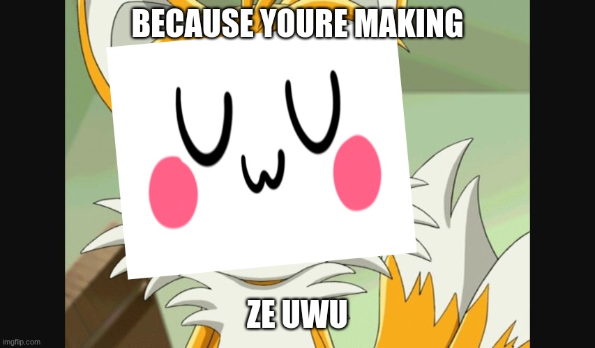 sonic- Derp Tails | BECAUSE YOURE MAKING ZE UWU | image tagged in sonic- derp tails | made w/ Imgflip meme maker